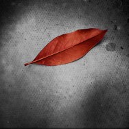 110705_hommage to Man Ray