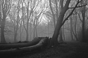 120915)11490035_GHP copy_small