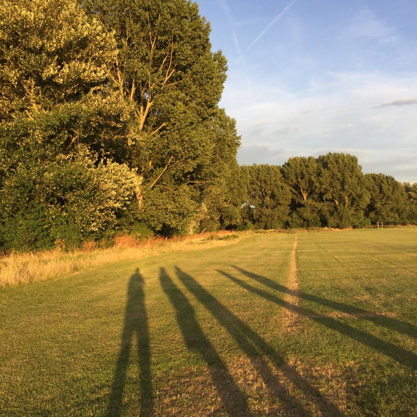 2016-08-11 19.53.09.jpg