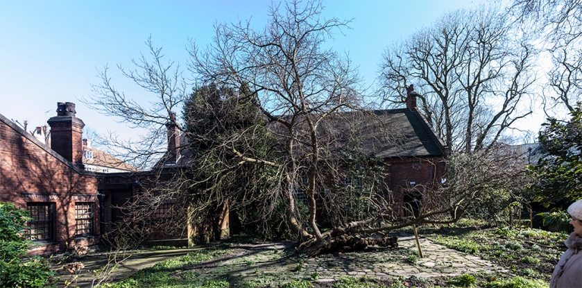 20180225-_DSF1452_CanonburyTowerMulberry-Pano-Edit_small
